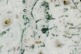 Polished Tree Agate Slab - India #167475-1